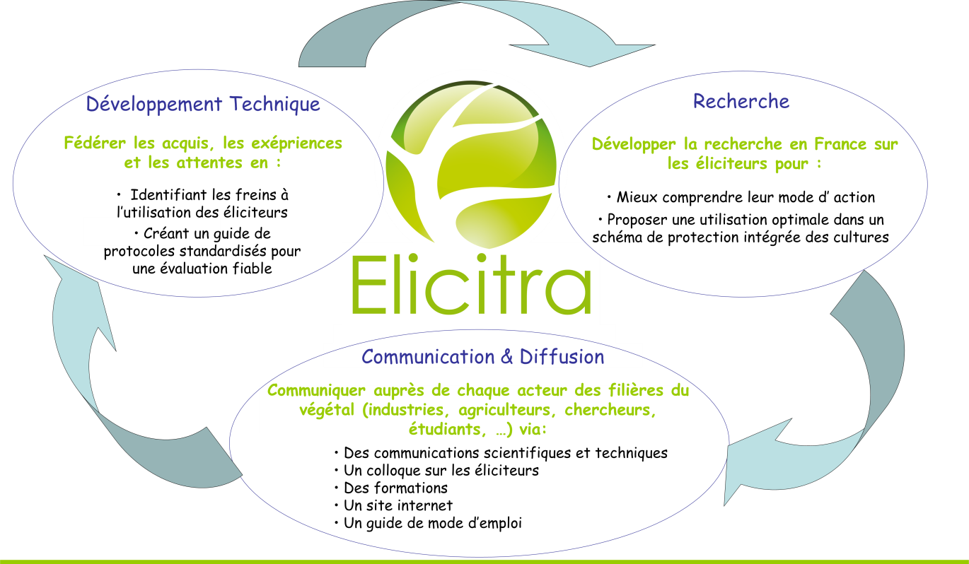 Le RMT Elicitra, spécialiste des stimulateurs des défenses des plantes